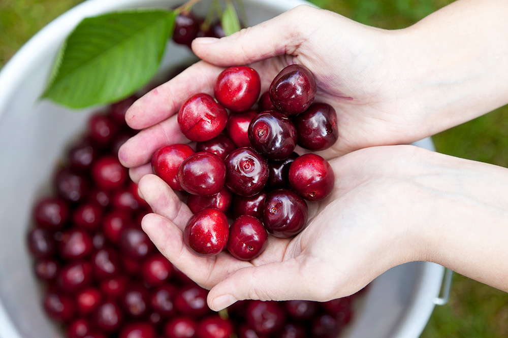 Account-based marketing: Cherry picking that works