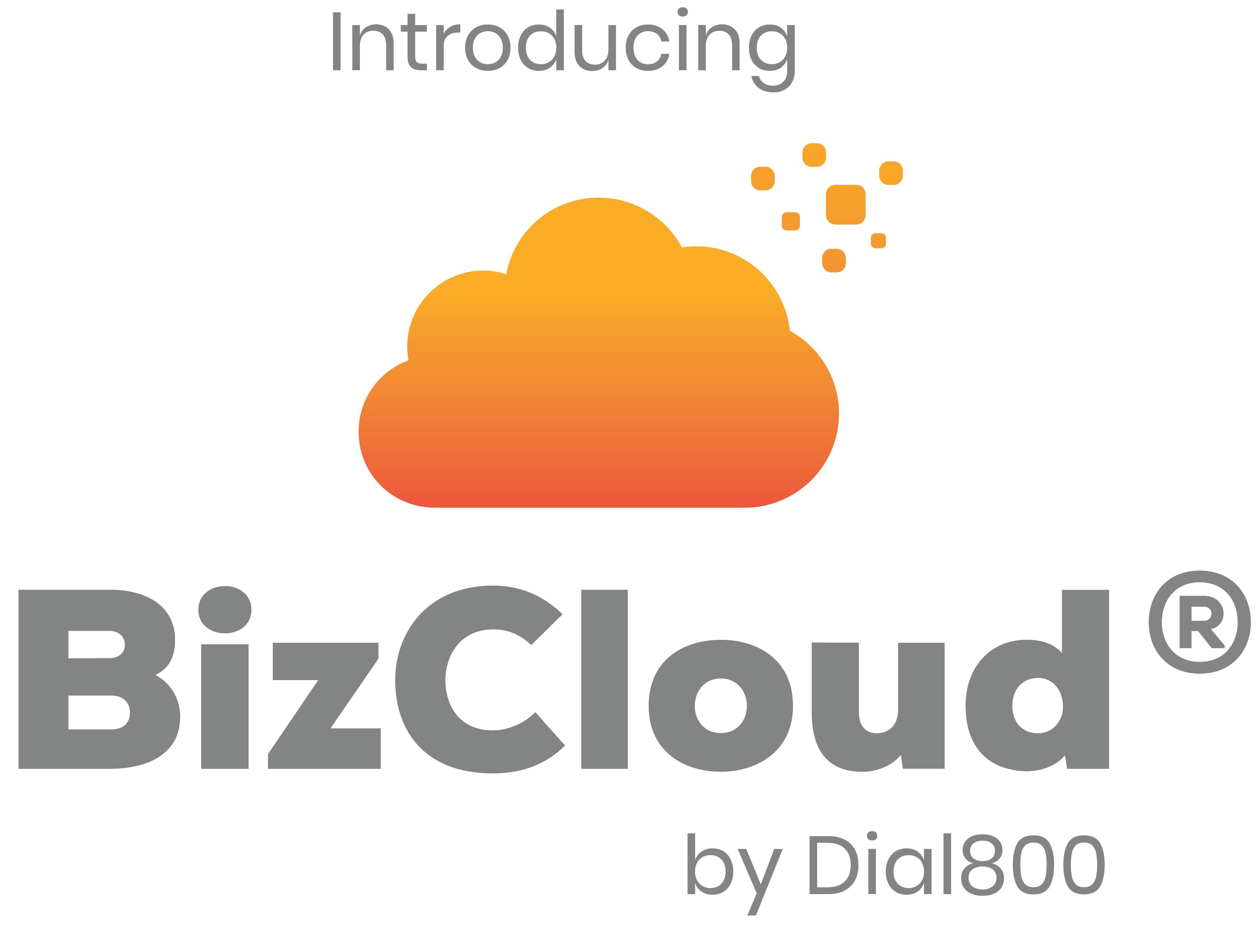 BizCloud VoIP Phone Services