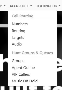 Portal.Dial800.com AccuRoute Menu